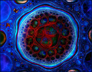 Строение клетки | cell structure