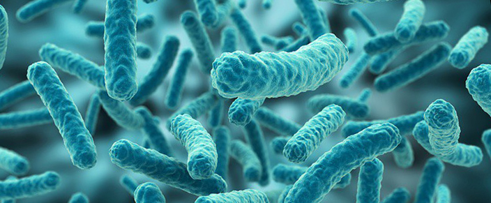 Bacterias | микробиом | юл иванчей | микробиот | human microbiome